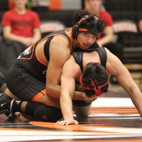 Tiger Wrestlers Sweep Branson at Home