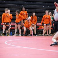 Photos: Girls Wrestling vs Willard